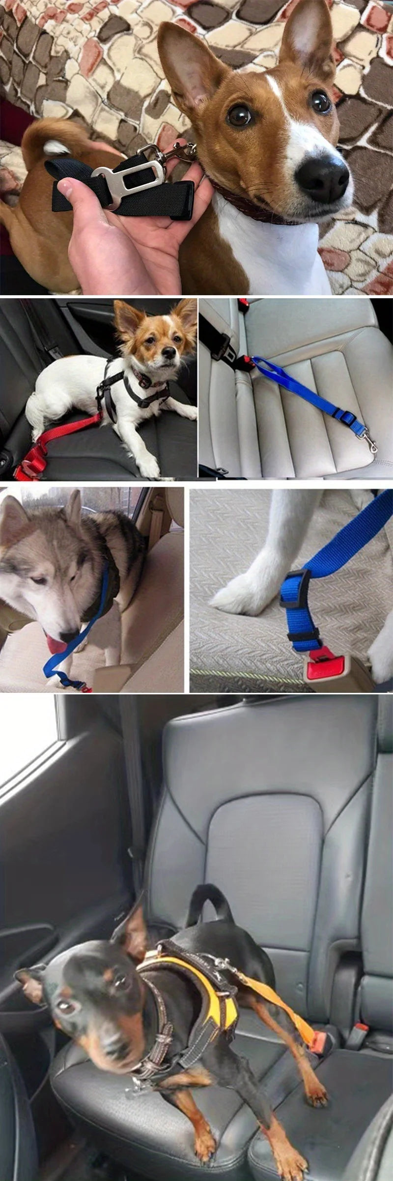 Pet Car Harness