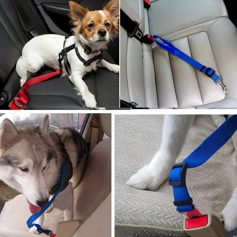 Pet Car Harness