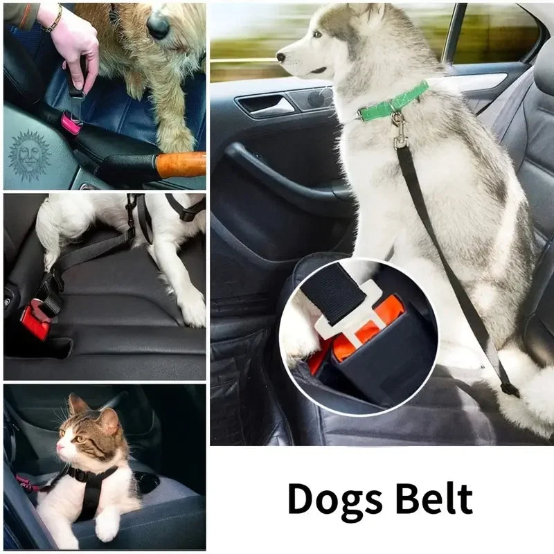 Pet Car Harness