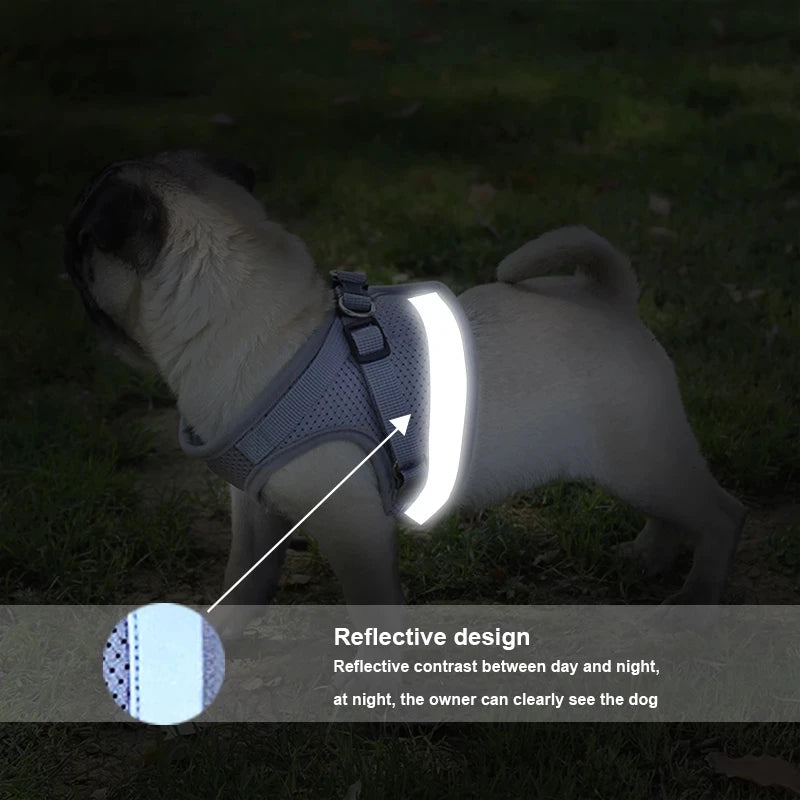 Reflective Dog Harness