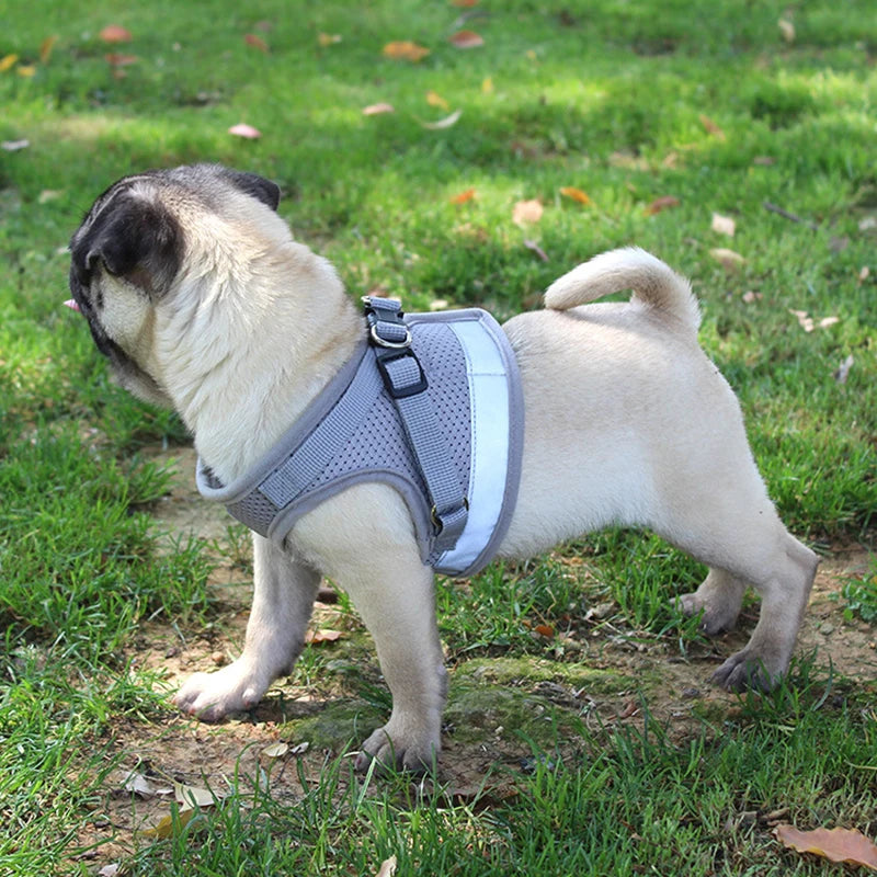 Reflective Dog Harness