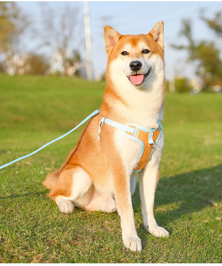 Adjustable Dog Harness