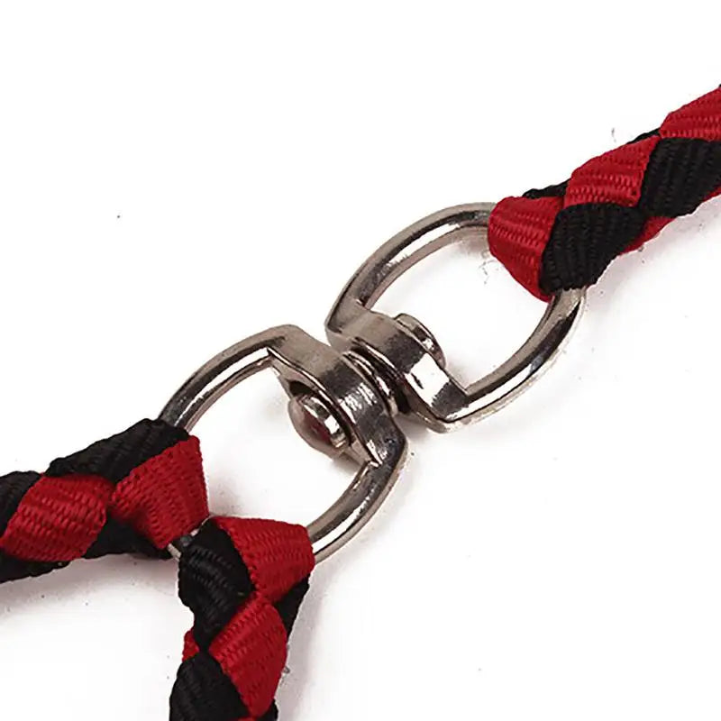 Double Dog Leash