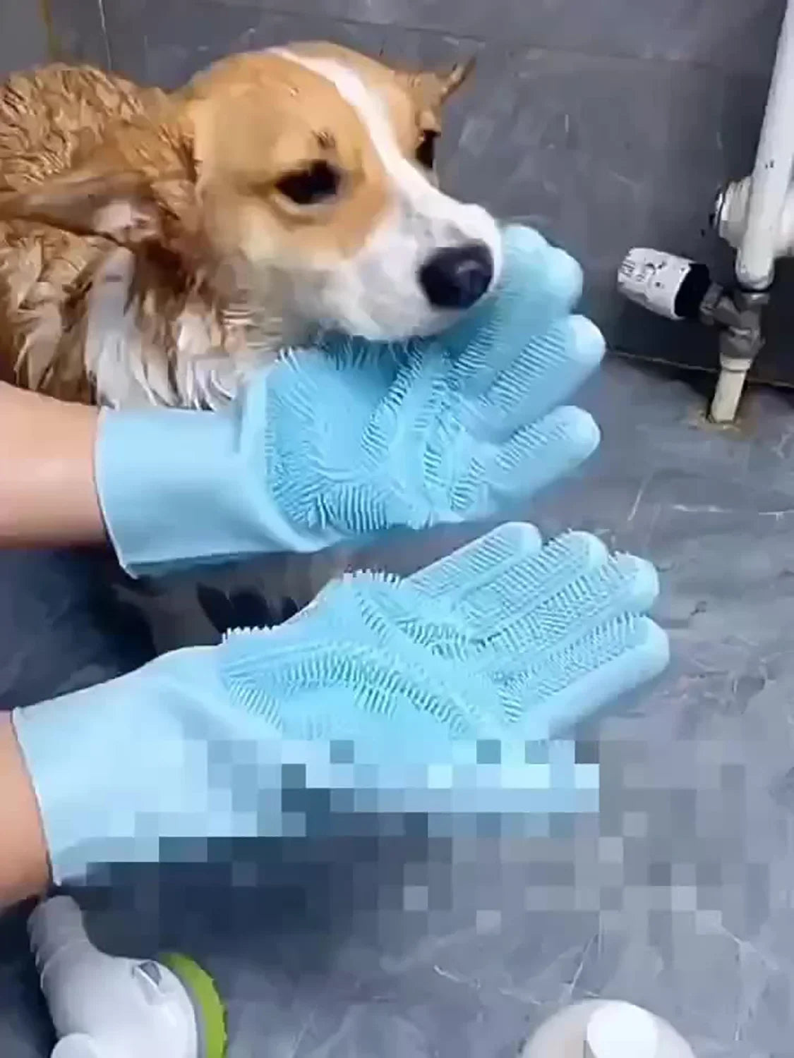 Pet Grooming Gloves
