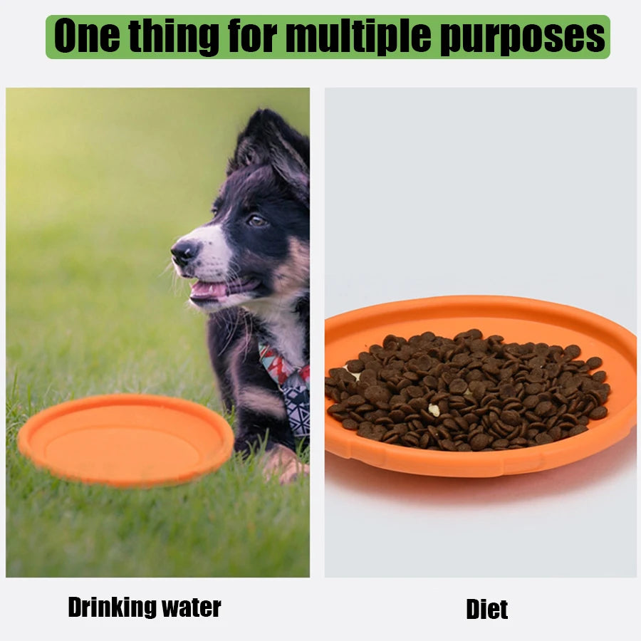 Dog Flying Disc