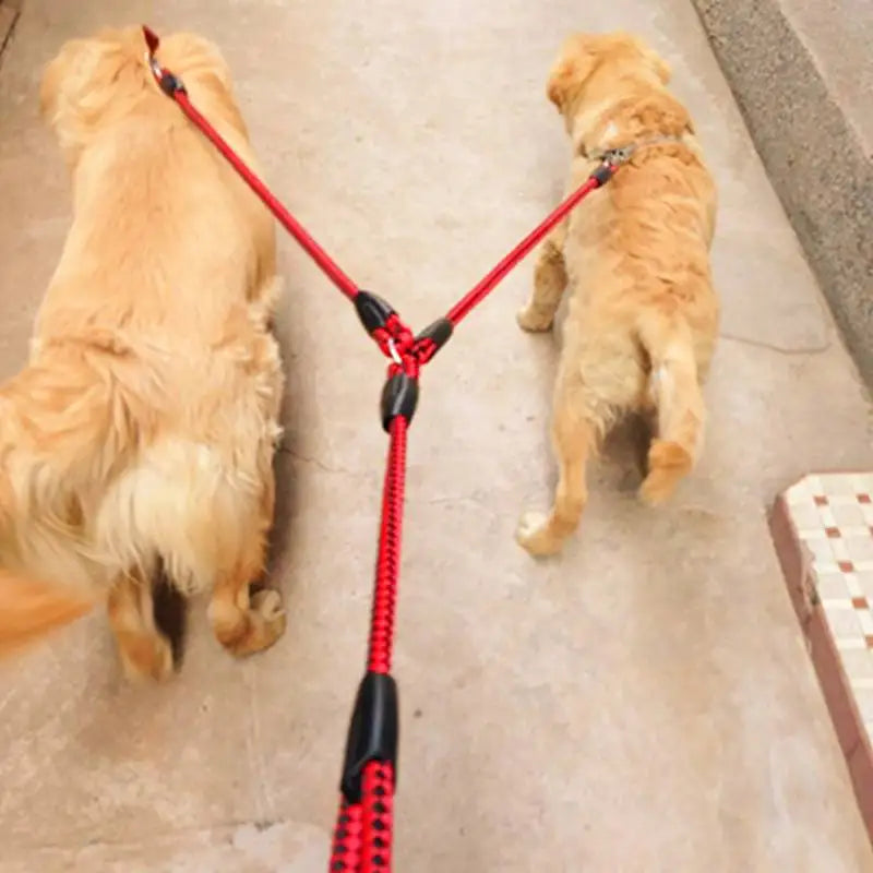 Double Dog Leash