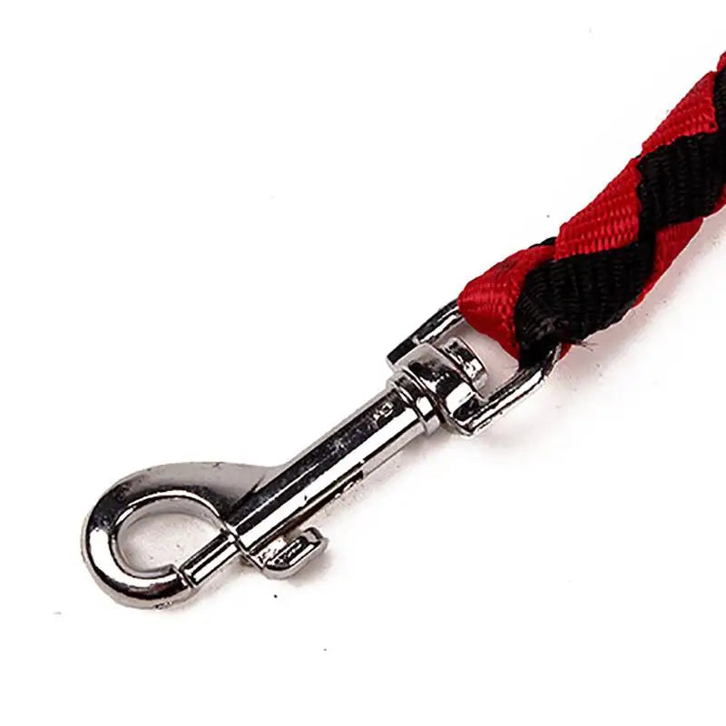 Double Dog Leash