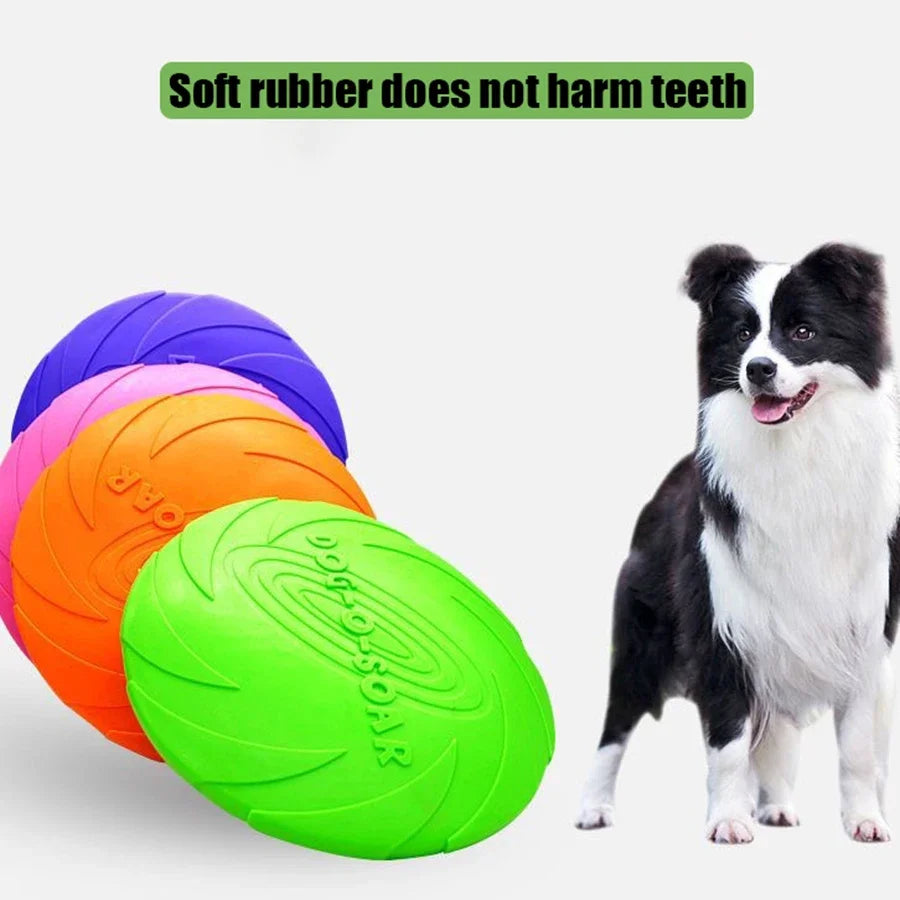 Dog Flying Disc