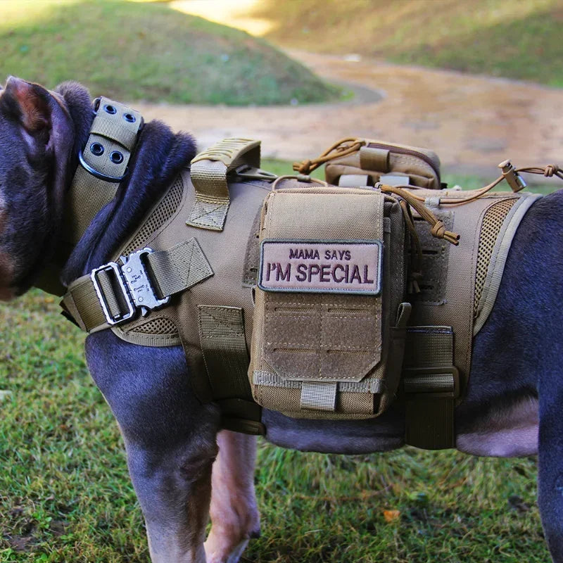 Military Dog Harness