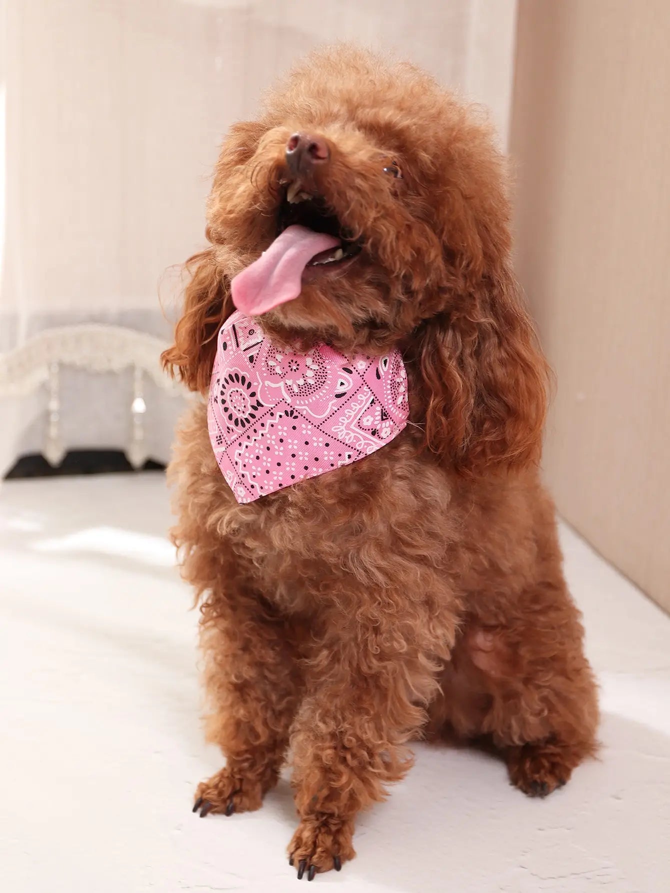 Adjustable Pet Bandana
