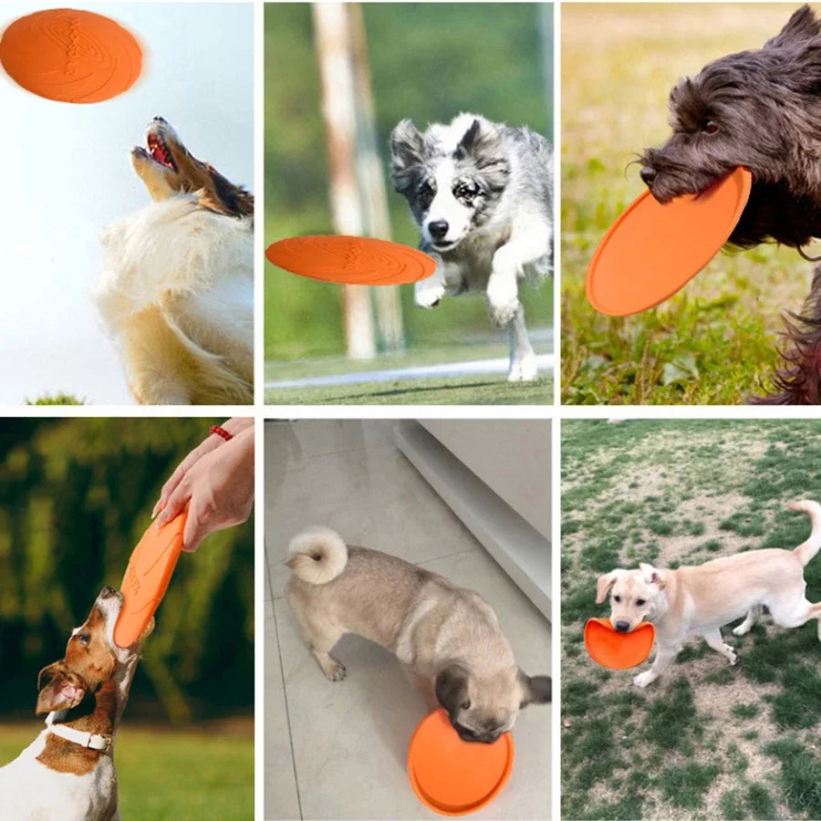 Dog Flying Disc