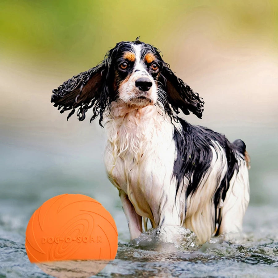 Dog Flying Disc
