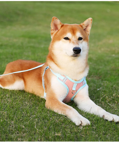 Adjustable Dog Harness