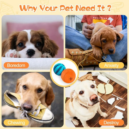 Interactive Dog Toy
